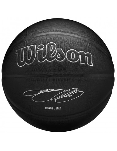  Wilson NBA Player Evergreen Bskt Lebron WZ4026801XB 2025