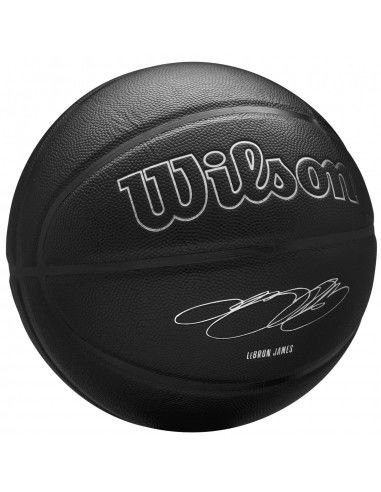 Wilson NBA Player Evergreen Bskt...