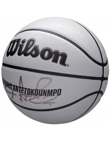 Wilson NBA Player Icon Uv Bskt...