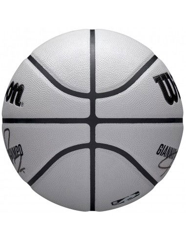 Wilson NBA Player Icon Uv Bskt...