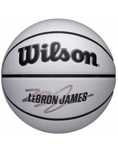  Wilson NBA Player Icon Uv Bskt Lebron WZ4030501XB 2025