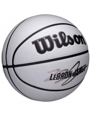 Wilson NBA Player Icon Uv Bskt Lebron...