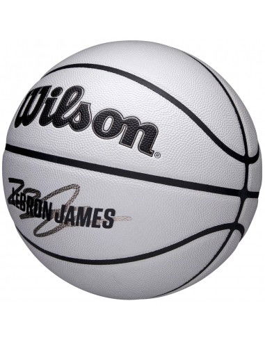 Wilson NBA Player Icon Uv Bskt Lebron...