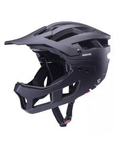 Radvik Fulljack helmet...