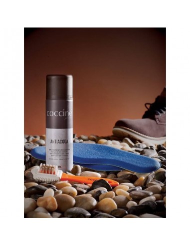 Coccine leather impregnation spray DA0265