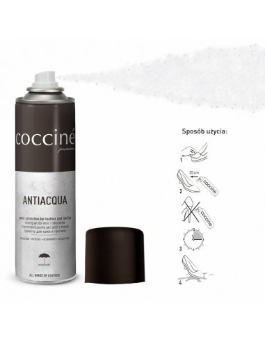 Coccine leather impregnation spray DA0265
