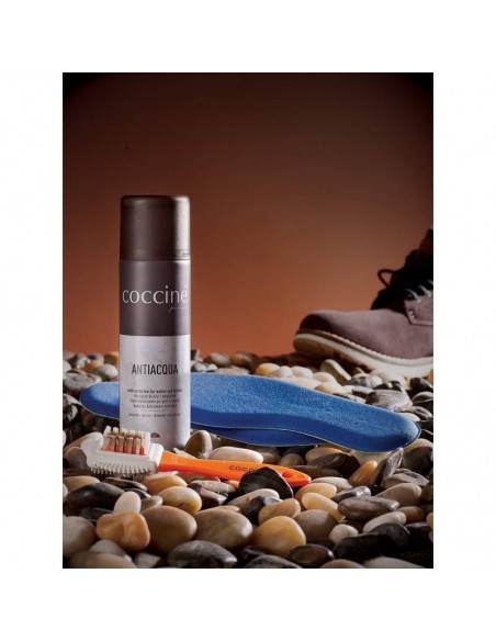 Coccine leather impregnation spray DA0265