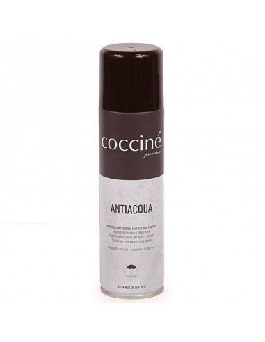 Coccine leather impregnation spray DA0265