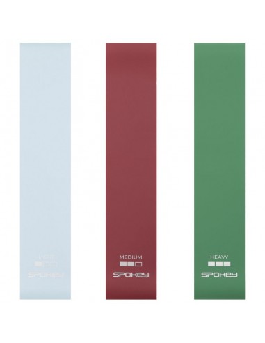 Spokey Flex Set SPK943086 resistance...