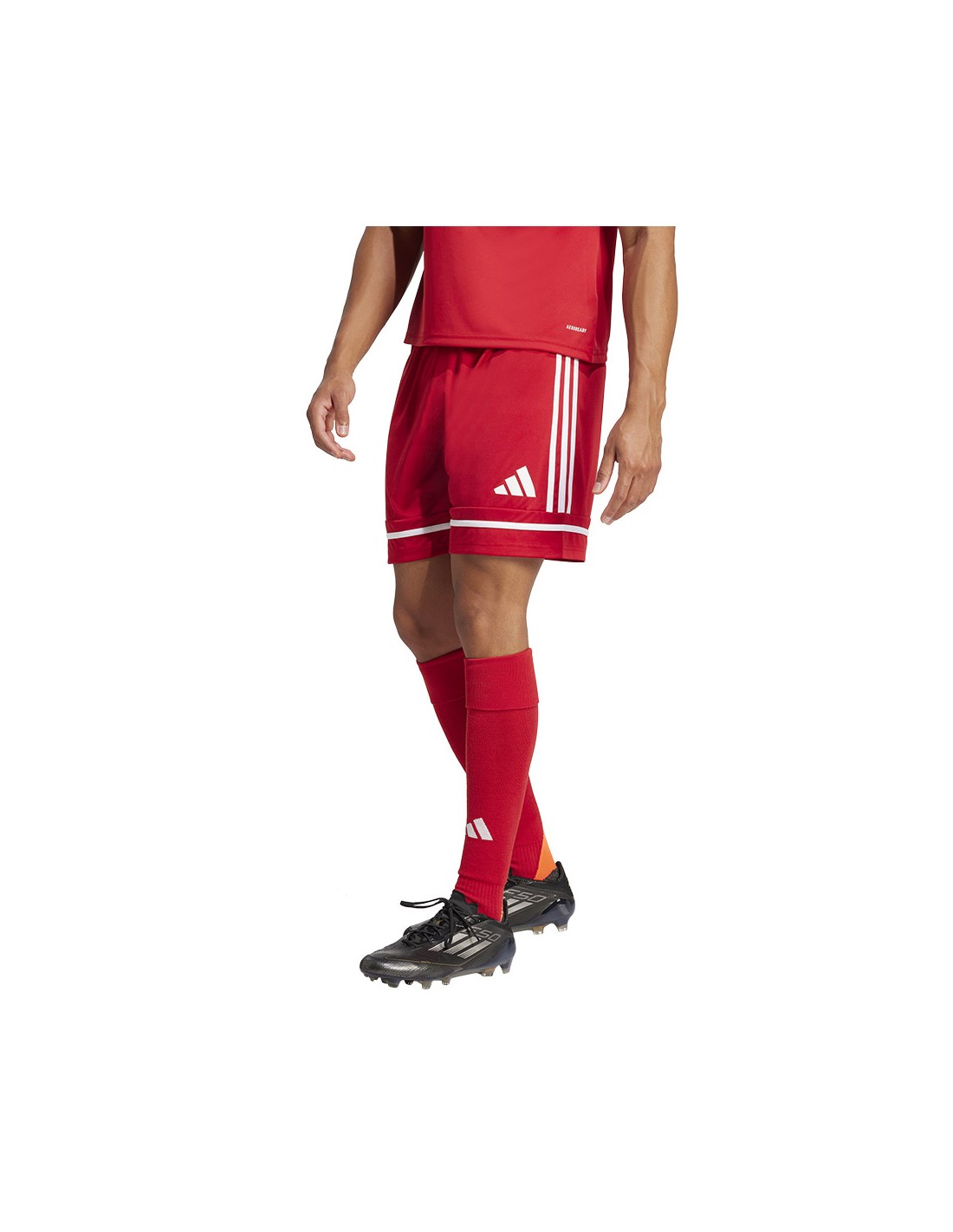 adidas performance - ΣΗΜΑΝΤΙΚΟ: Σε περίπτωση διαφοράς τιμής από το κατάστημα ισχύει παντα και μόνο η τιμή του καταστήματος Shorts adidas SQUADRA 25 Short JN5466