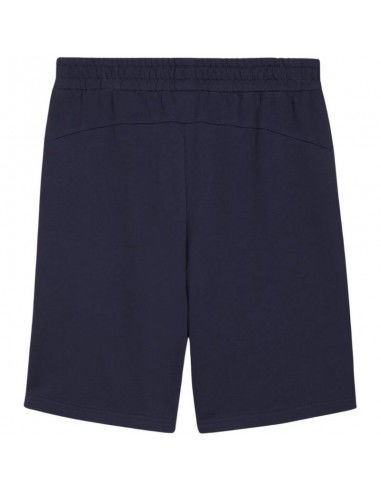 Puma teamGOAL Casuals M shorts 658608 06
