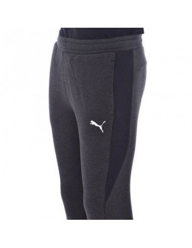 Puma Jr Pants 580732 04