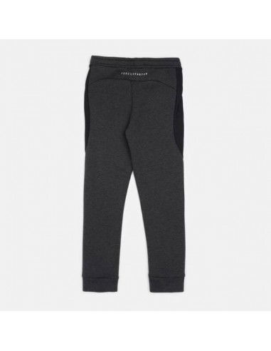 Puma Jr Pants 580732 04