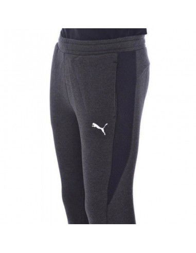 Puma Jr Pants 580732 04