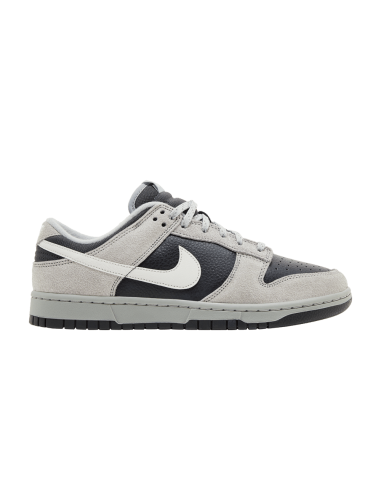 Nike Dunk Low Light Smoke Grey Anthracite HV2532001 MBS
