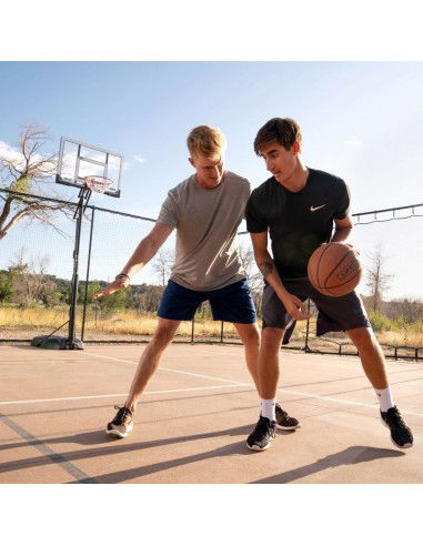 Lifetime 50 "BROOKLYN 90981...