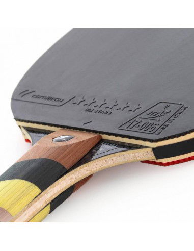 Excell Carbon 2000 Cornilleau table...