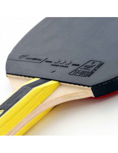 Cornilleau Sport 434000 table tennis...