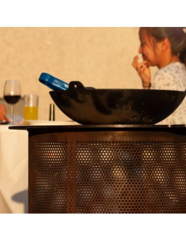 Bonfeu garden fire pit Bonves 45 basket black 4502