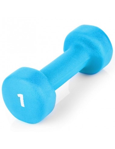 2x1kg vinyl dumbbells