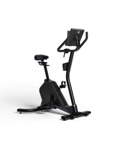 Programmed bike Schwinn 590U 100952