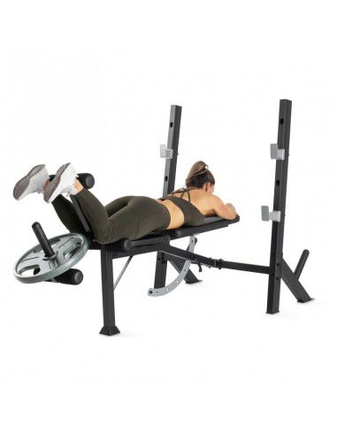 Proform Olympic bench with Sport XT...