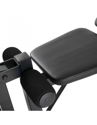 Proform Olympic bench with Sport XT...