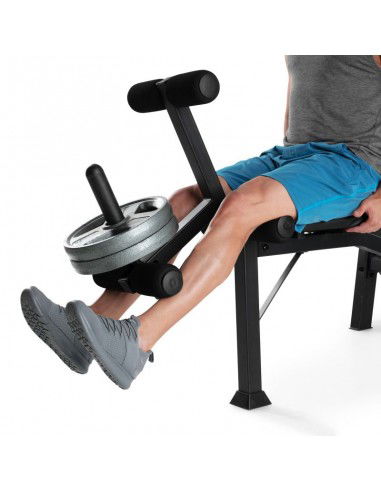 Proform Olympic bench with Sport XT...