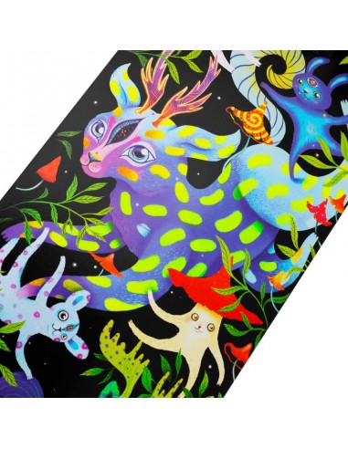 Spokey skateboard with glowing graphics Ollie SPK942542