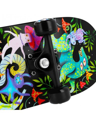 Spokey skateboard with glowing graphics Ollie SPK942542