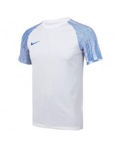 Nike DriFIT Academy DH8031...