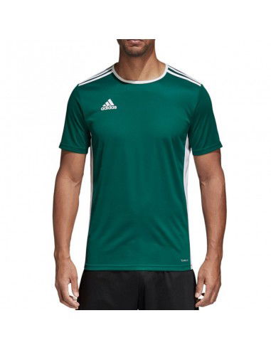 Tshirt adidas Entrada 18 Jr CD8358