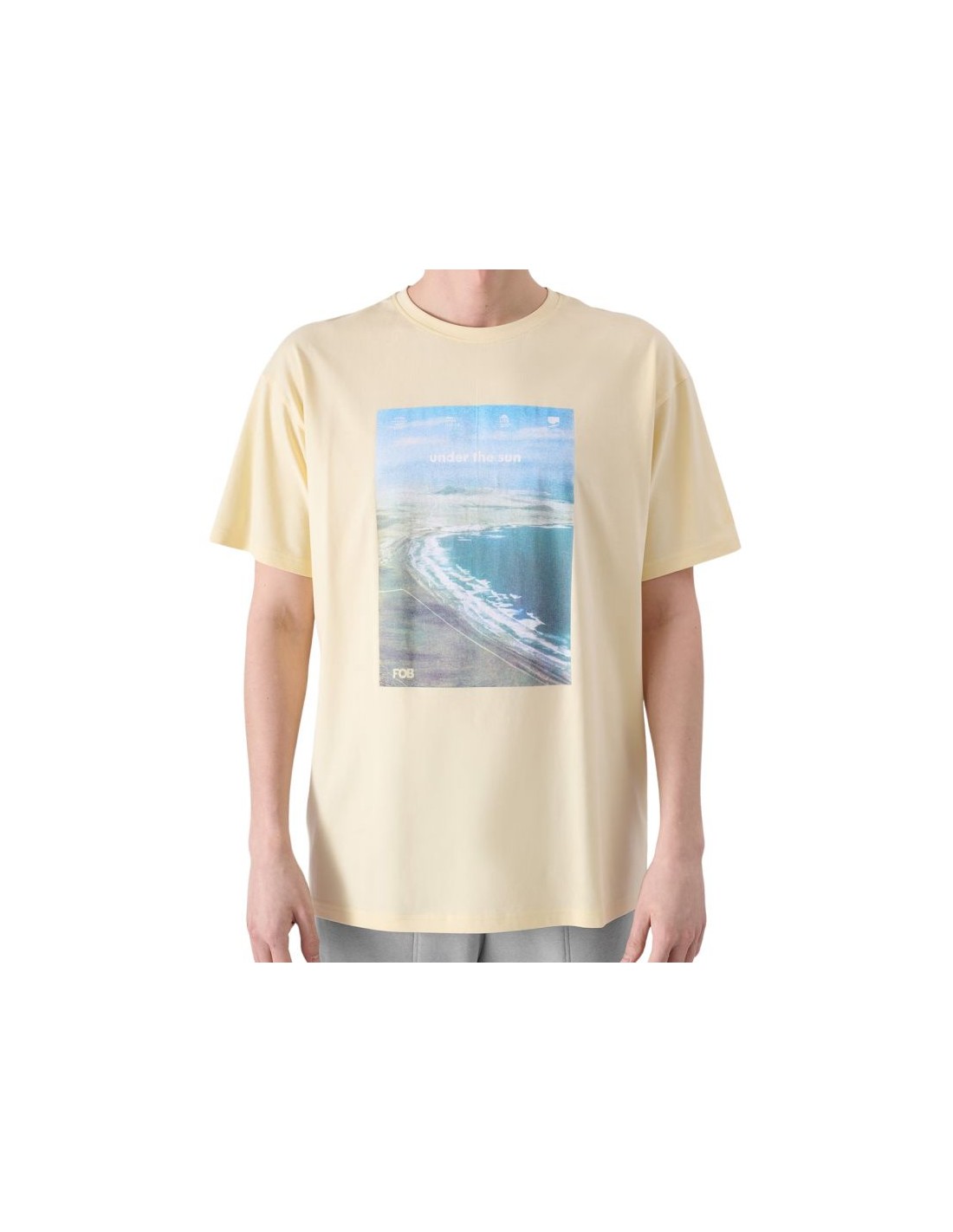 Men's T-Shirts Salomon Beige