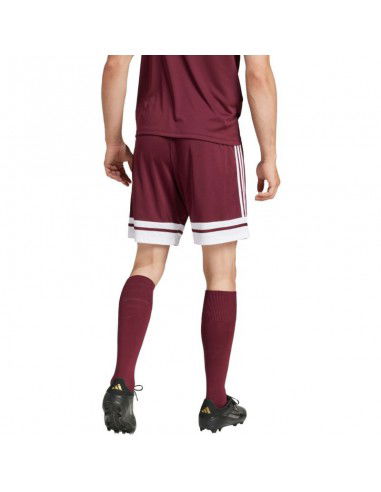 Shorts adidas Squadra 25 M JC8677