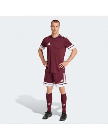 Shorts adidas Squadra 25 M JC8677