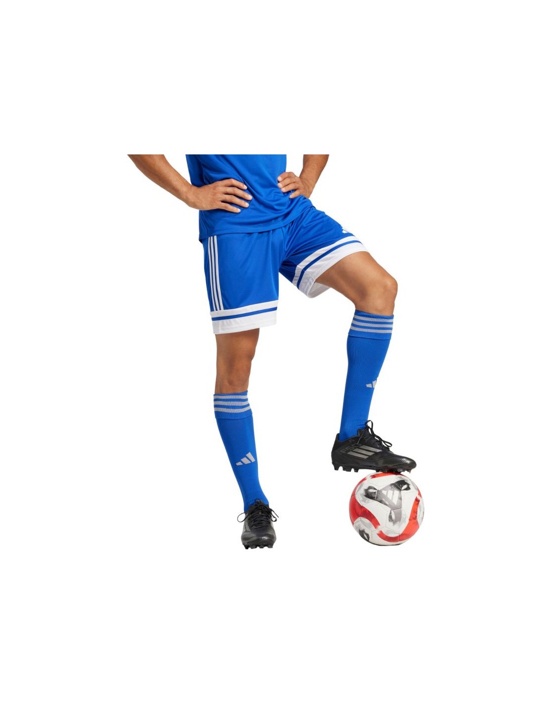 Shorts adidas Squadra 25 M JH3405