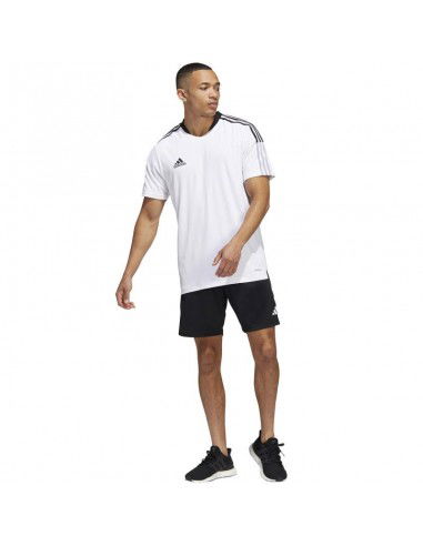 Shorts adidas Tiro 23 Competition M...