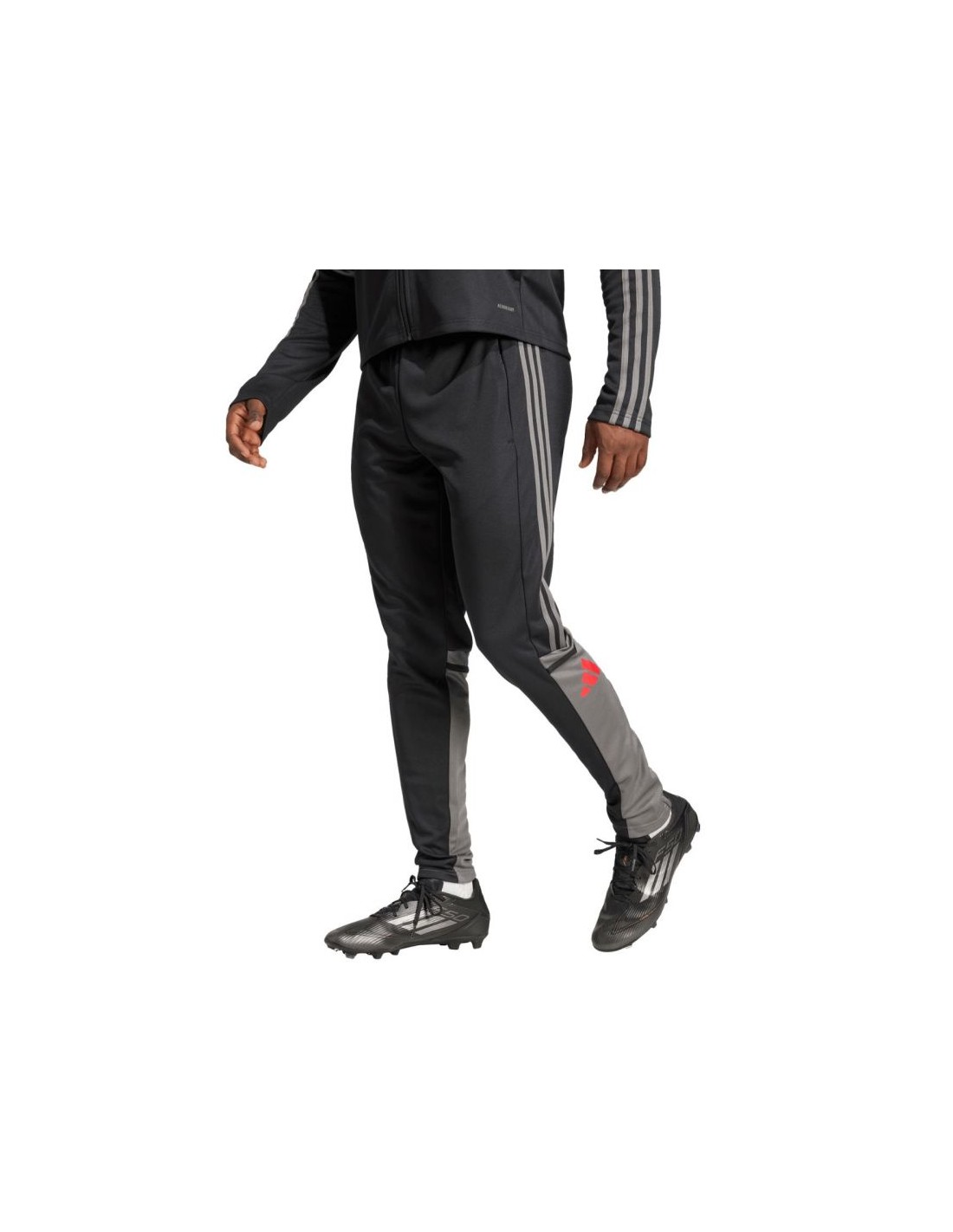 adidas Squadra 25 Training M JD1625 Pants