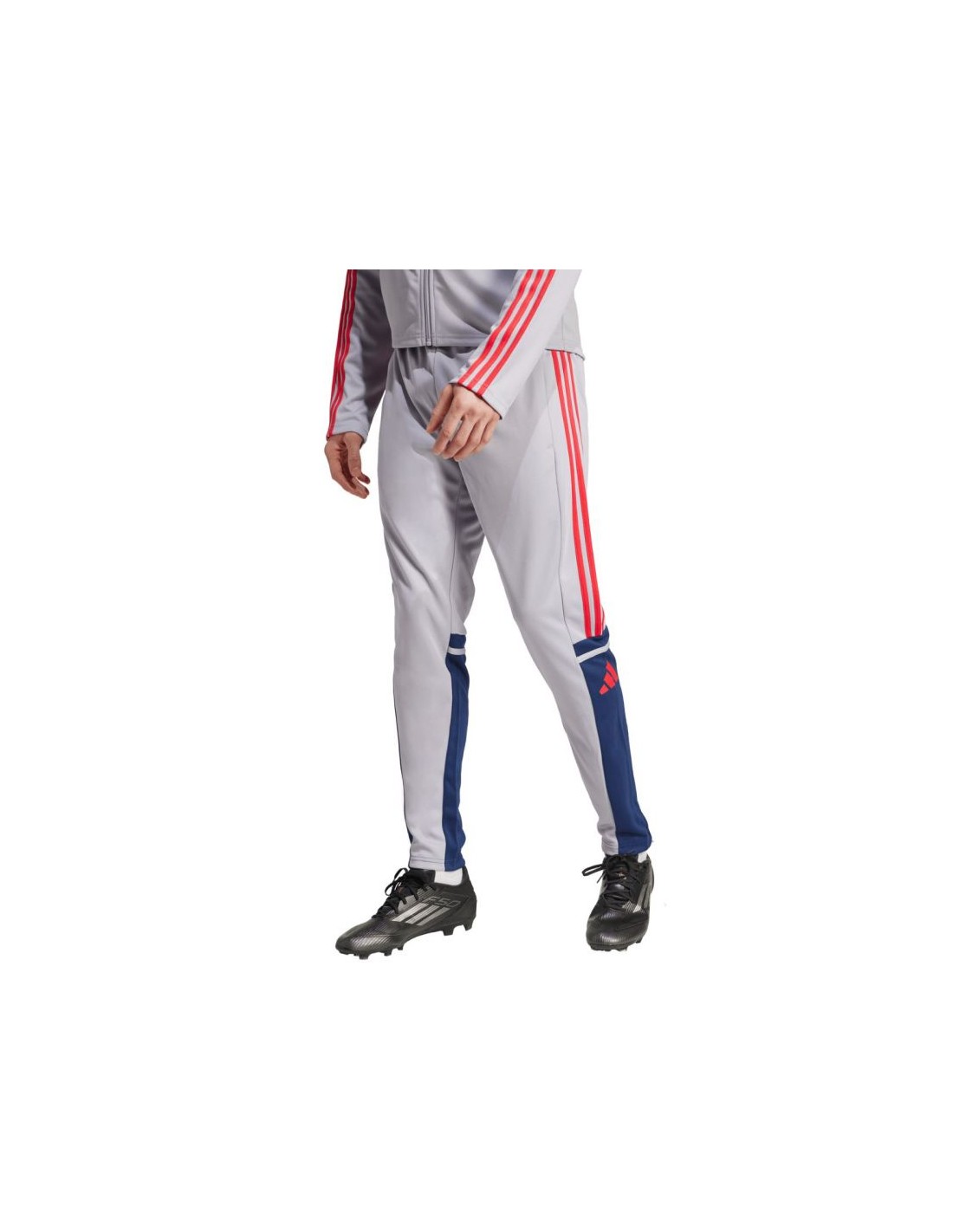 adidas Squadra 25 Training M JP3372 Pants