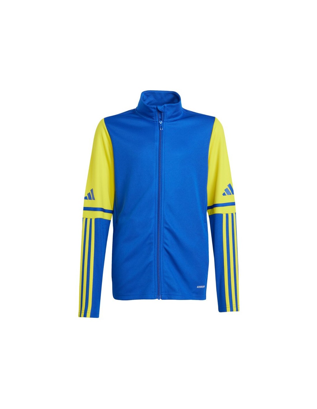 Adidas Squadra 25 Training Jr JP3150 sweatshirt