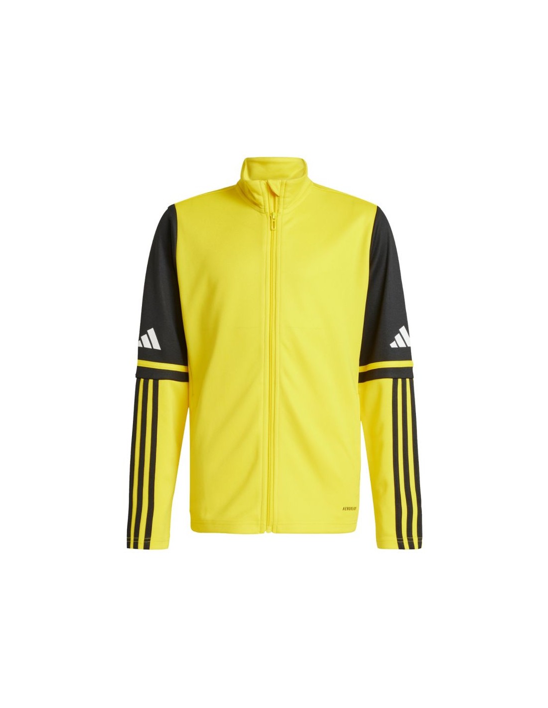 Adidas Squadra 25 Training Jr JP3395 sweatshirt