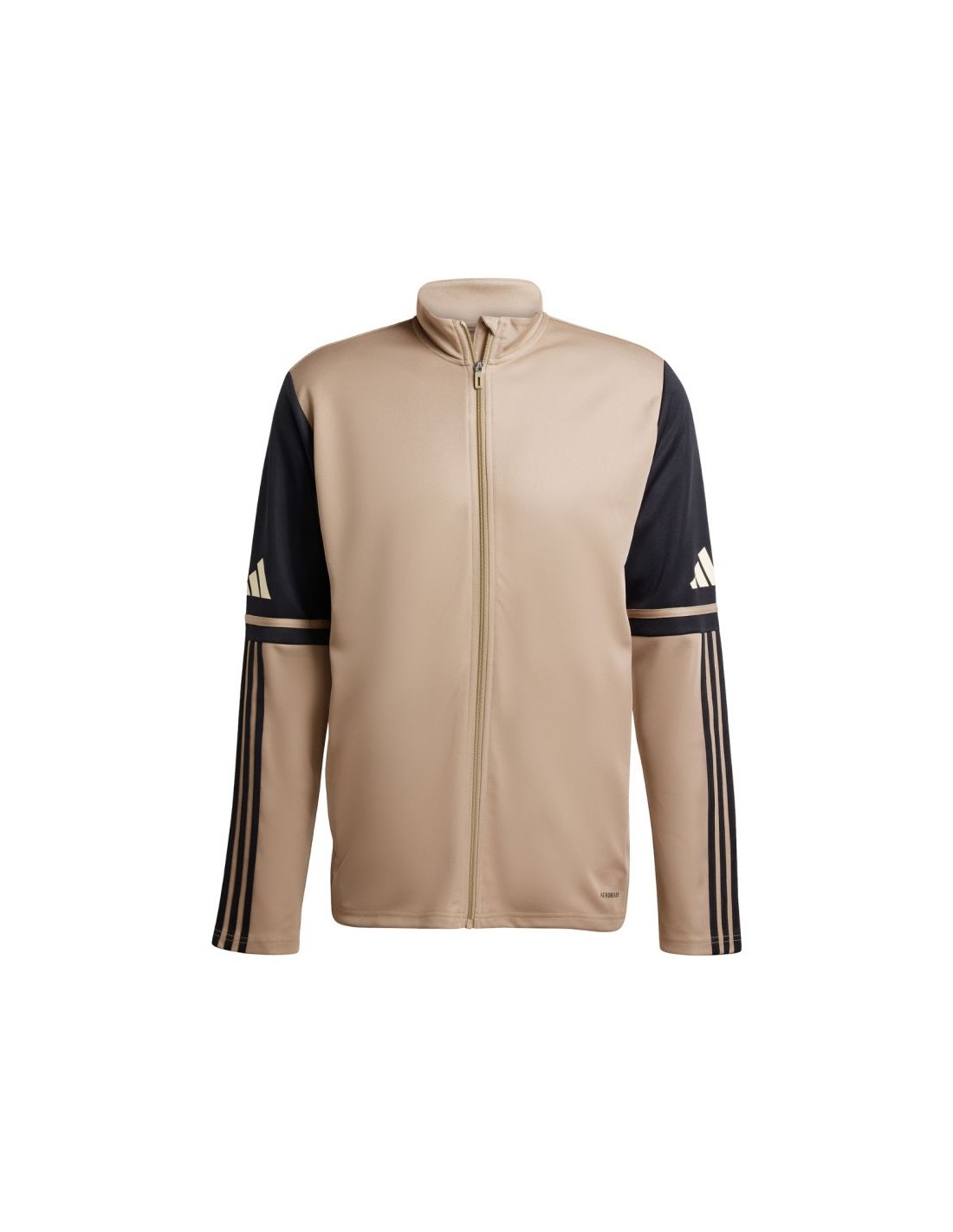 Adidas Squadra 25 Training M JP3391 sweatshirt