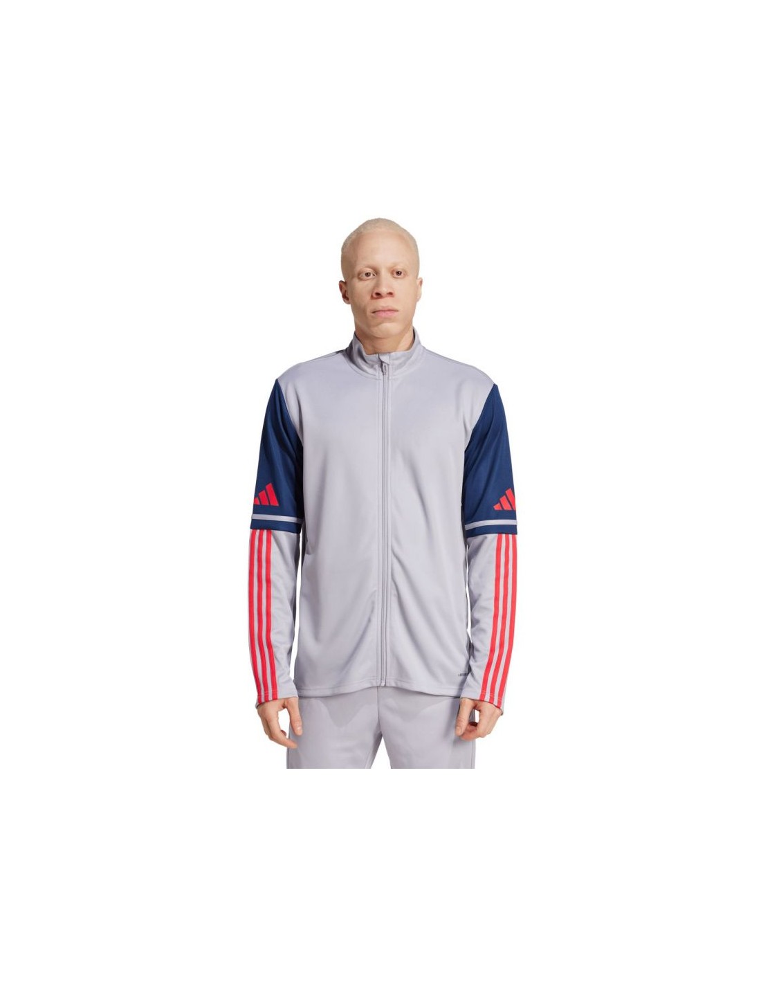 Adidas Squadra 25 Training M JP3389 sweatshirt
