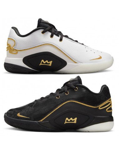 Nike LEBRON XXII BHM GS HV8616100 shoes