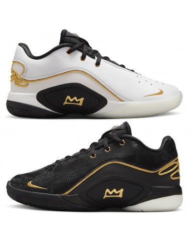 Nike LEBRON XXII BHM GS HV8616100 shoes