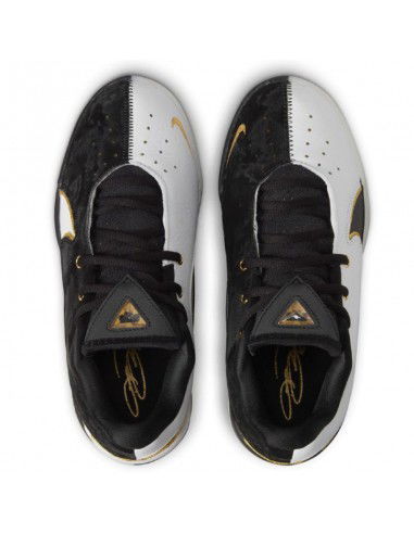 Nike LEBRON XXII BHM GS HV8616100 shoes