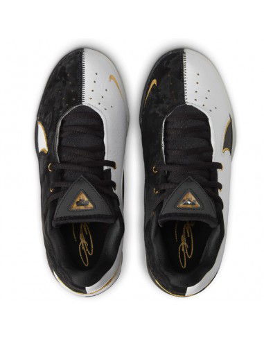 Nike LEBRON XXII BHM GS HV8616100 shoes