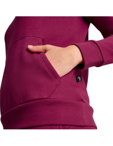 Puma ESS Logo Hoodie FL W 586789 52