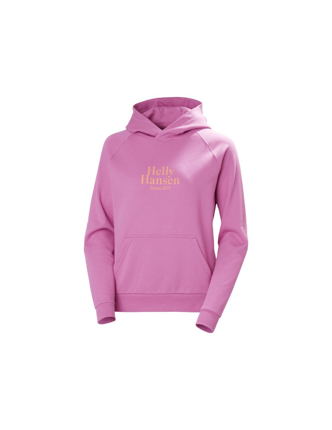 Helly Hansen Helly Hansen Core Graphic Hoodie W 54239 089