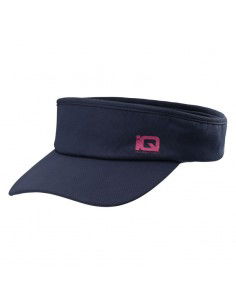 IQ Intelligence Quality...